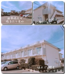 外観図